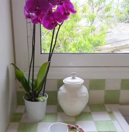 ανεμώνη - Anemoni Σπίτι διακοπών Koróni