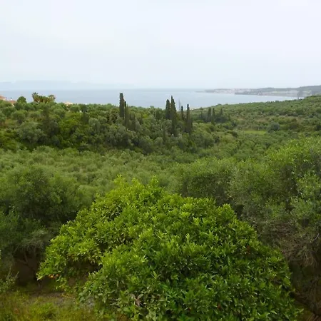 ανεμώνη - Anemoni * Koróni