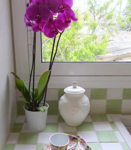 ανεμώνη - Anemoni Feriehus Koróni