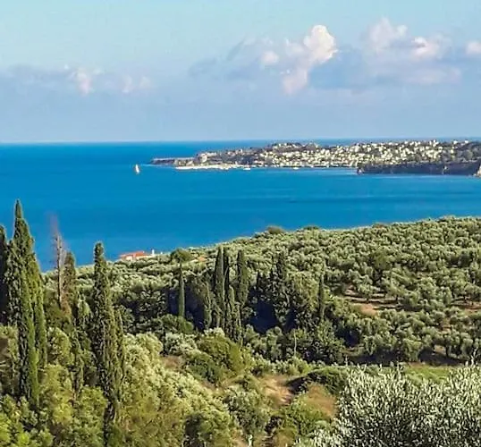 Nyaraló ανεμώνη - Anemoni *