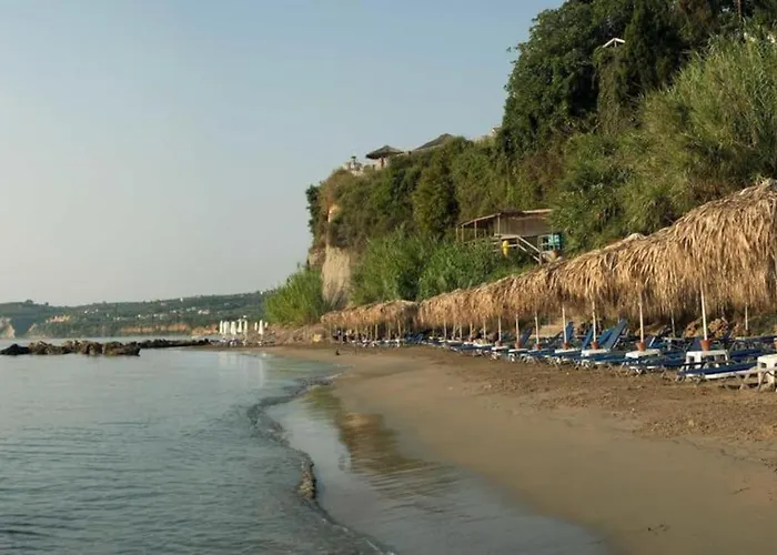 ανεμώνη - Anemoni * Koróni